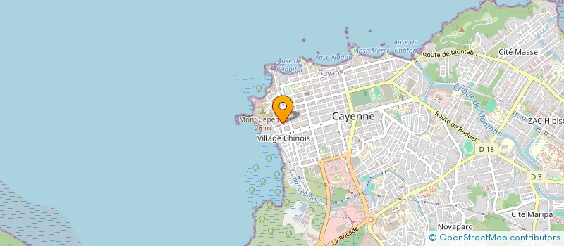 localisation de l'entreprise MONSIEUR RIZK REAIDI  CAYENNE