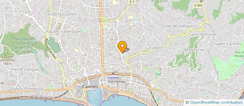 localisation de l'entreprise MONSIEUR ROBERT ALLARD à CANNES