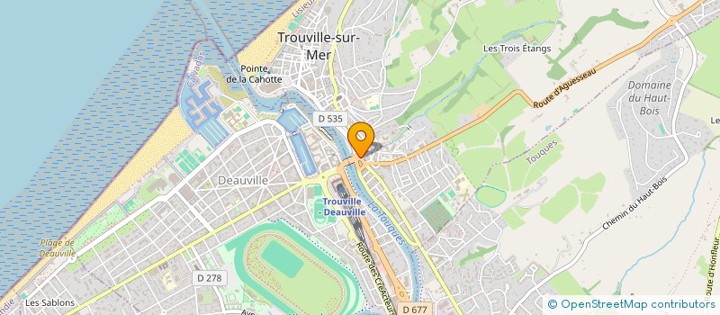 localisation de l'entreprise MONSIEUR ROBERT ANDRONIKOU à TROUVILLE-SUR-MER