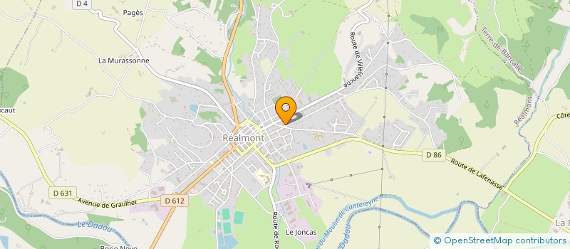 localisation de l'entreprise MONSIEUR ROBERT AUSSENAC  REALMONT