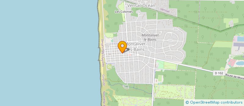 localisation de l'entreprise MONSIEUR ROBERT BAHOUGNE  VENDAYS-MONTALIVET