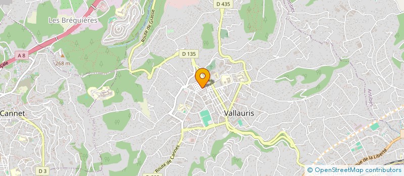 localisation de l'entreprise MONSIEUR ROBERT BECK à VALLAURIS