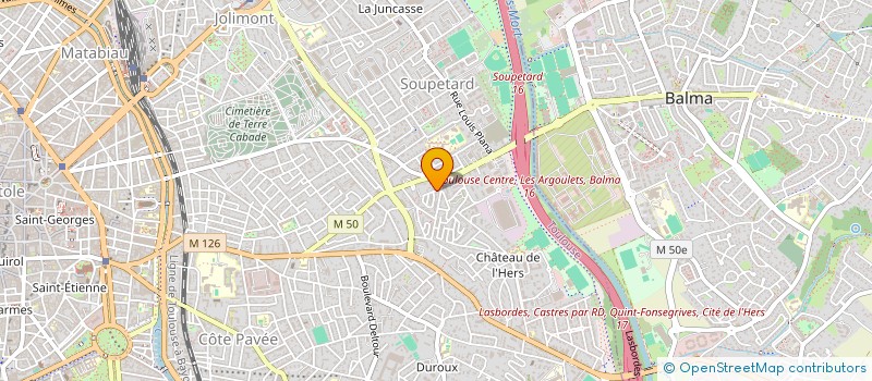 localisation de l'entreprise MONSIEUR ROBERT BERGER à TOULOUSE