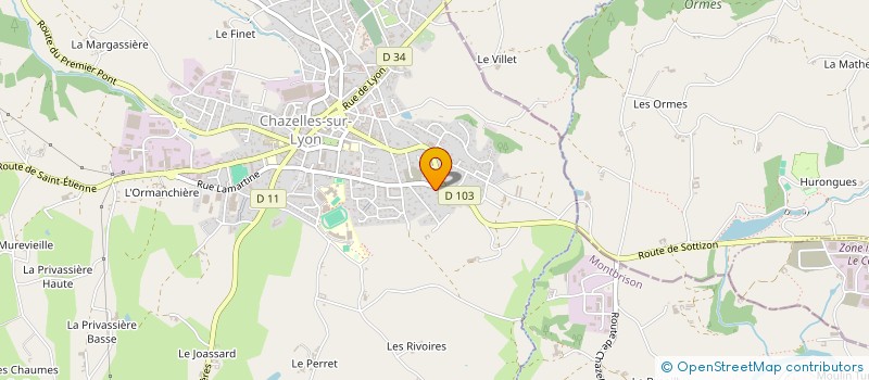 localisation de l'entreprise MONSIEUR ROBERT BISSARDON  CHAZELLES-SUR-LYON