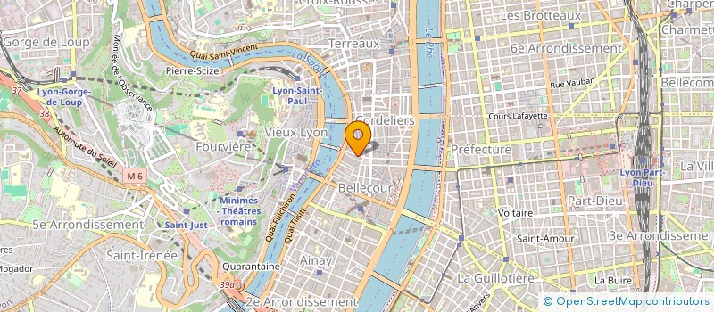 localisation de l'entreprise MONSIEUR ROBERT BLANC à LYON