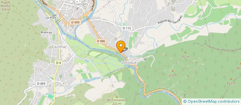 localisation de l'entreprise MONSIEUR ROBERT BRICOUT  SAINT-ANDRE-DE-BUEGES