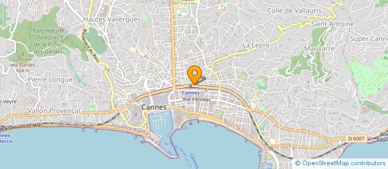 localisation de l'entreprise MONSIEUR ROBERT BRIDIER à CANNES