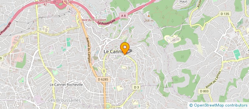 localisation de l'entreprise MONSIEUR ROBERT BROUSSE à LE CANNET