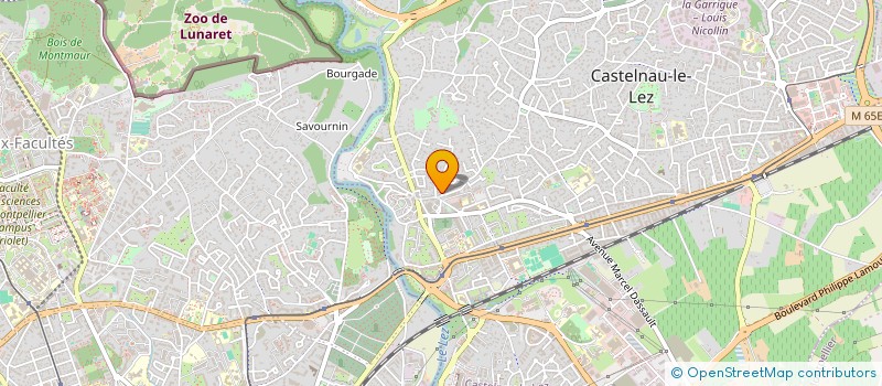 localisation de l'entreprise MONSIEUR ROBERT BRUNEL  CASTELNAU-LE-LEZ