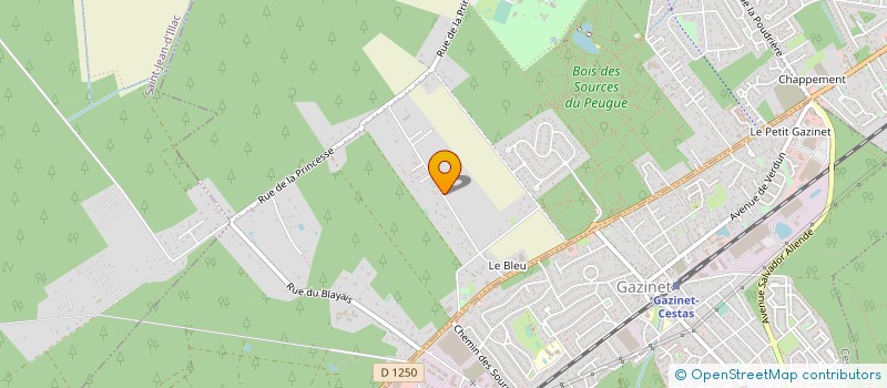 localisation de l'entreprise MONSIEUR ROBERT COUSIN à PESSAC