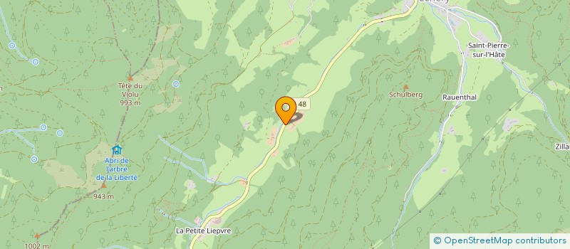 localisation de l'entreprise MONSIEUR ROBERT DECKER  SAINTE-MARIE-AUX-MINES