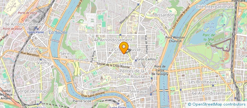 localisation de l'entreprise MONSIEUR ROBERT DEYRAIL à LYON