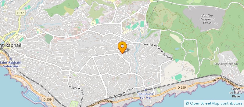 localisation de l'entreprise MONSIEUR ROBERT LAIZIER  SAINT-RAPHAEL