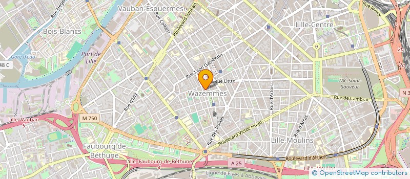 localisation de l'entreprise MONSIEUR ROBERT LAMBERT à LILLE