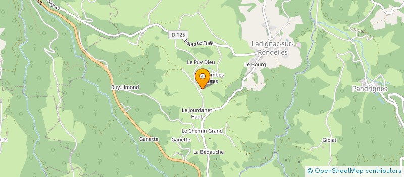 localisation de l'entreprise MONSIEUR ROBERT LEYRAT  LADIGNAC-SUR-RONDELLES