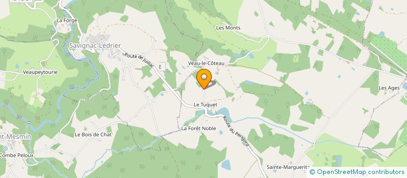 localisation de l'entreprise MONSIEUR ROBERT PICHON  SAINT-MESMIN