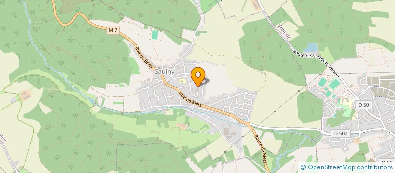 localisation de l'entreprise MONSIEUR ROBERT PLATINI  SAULNY