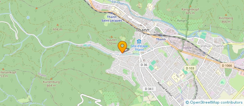 localisation de l'entreprise MONSIEUR ROBERT RICHARD  THANN