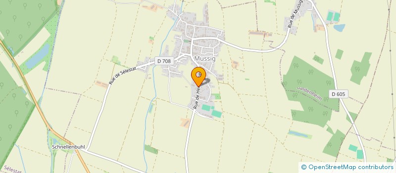 localisation de l'entreprise MONSIEUR ROBERT SCHNEIDER  MUSSIG