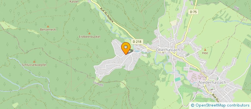 localisation de l'entreprise MONSIEUR ROBERT SCHNELZAUER  OBERHASLACH