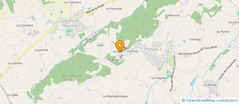 localisation de l'entreprise MONSIEUR ROBERT THIZY à LA CHAPELLE-SUR-COISE