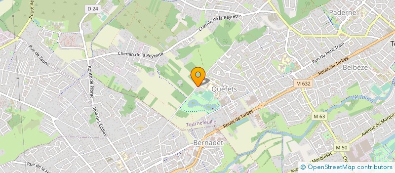 localisation de l'entreprise MONSIEUR ROBERT ZIGLER  TOURNEFEUILLE