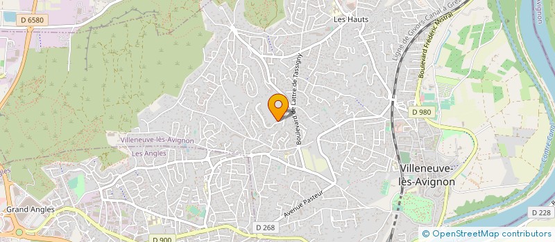 localisation de l'entreprise MONSIEUR ROBERTO KOPECKY  VILLENEUVE-LES-AVIGNON