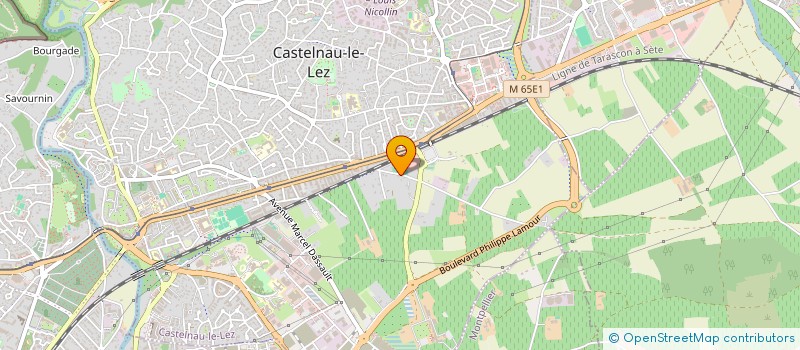 localisation de l'entreprise MONSIEUR ROBERTO ROSENDO MARTINEZ à CASTELNAU-LE-LEZ