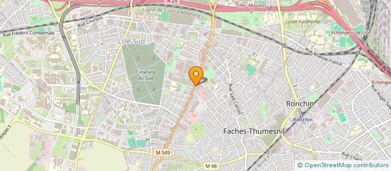 localisation de l'entreprise MONSIEUR ROBERTO SALVA  FACHES-THUMESNIL