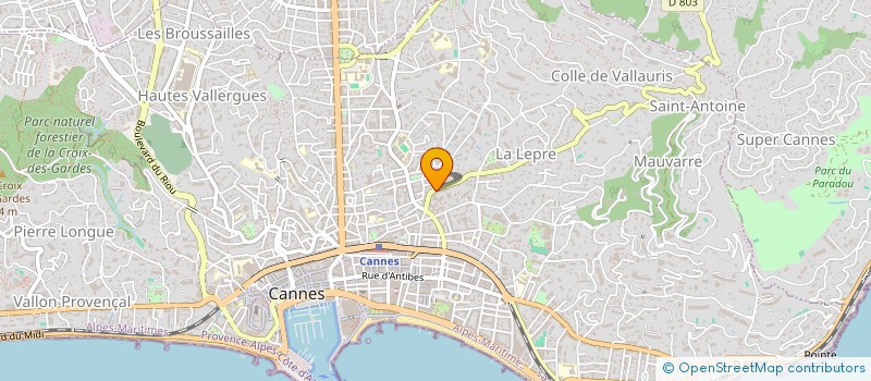 localisation de l'entreprise MONSIEUR ROBIN ADIDA à CANNES
