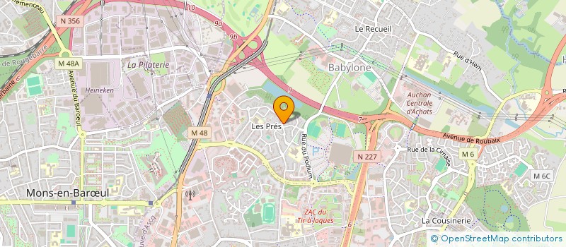 localisation de l'entreprise MONSIEUR ROBIN AMADU  VILLENEUVE-D'ASCQ