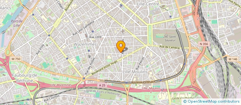 localisation de l'entreprise MONSIEUR ROBIN BILLAUDEL à LILLE