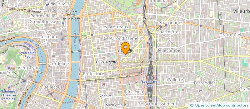 localisation de l'entreprise MONSIEUR ROBIN BIZOLON  LYON