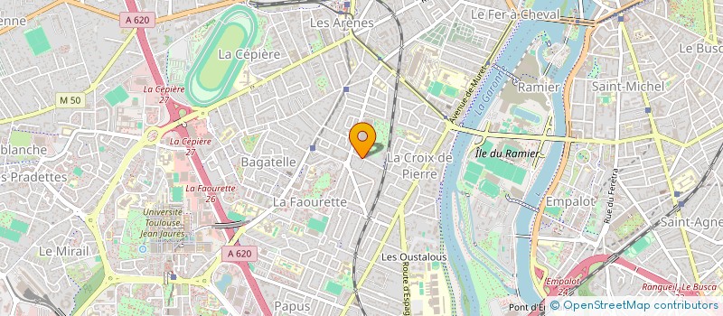 localisation de l'entreprise MONSIEUR ROBIN BRUN à TOULOUSE