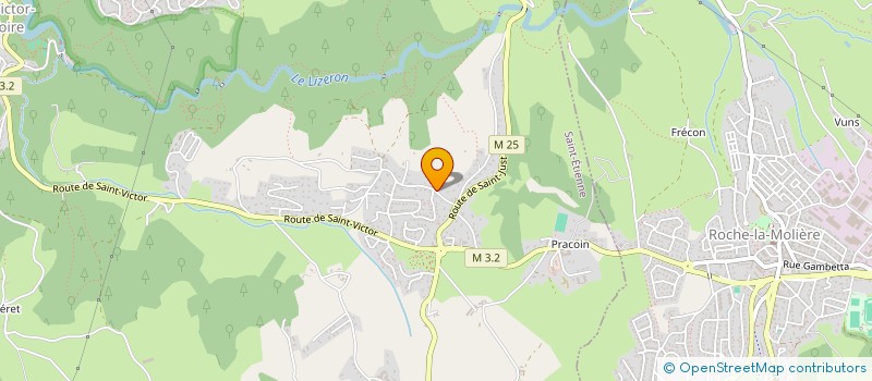 localisation de l'entreprise MONSIEUR ROBIN CHAPELON  SAINT-ETIENNE