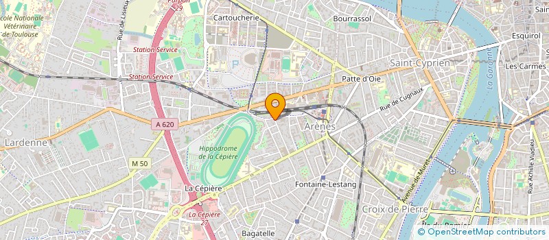 localisation de l'entreprise MONSIEUR ROBIN DUPIET  TOULOUSE