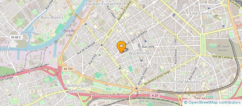 localisation de l'entreprise MONSIEUR ROBIN FIABANE  LILLE