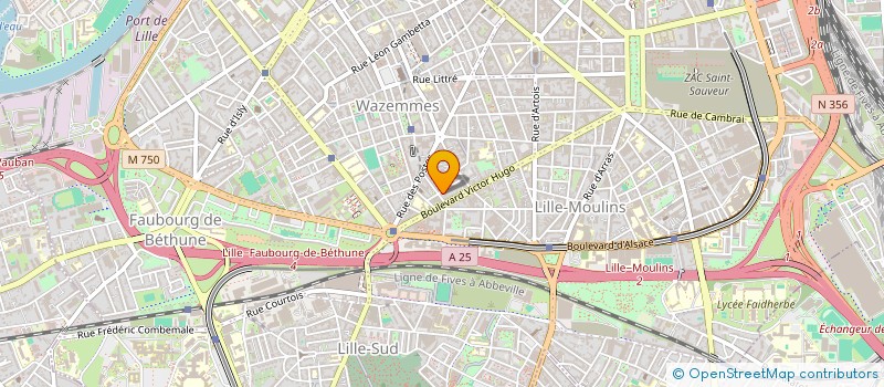 localisation de l'entreprise MONSIEUR ROBIN FONTAINE à LILLE