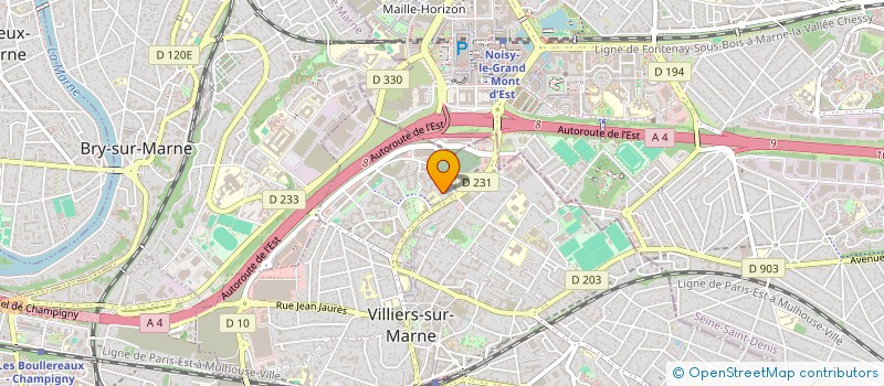 localisation de l'entreprise MONSIEUR ROBIN FOSSE  VILLIERS-SUR-MARNE