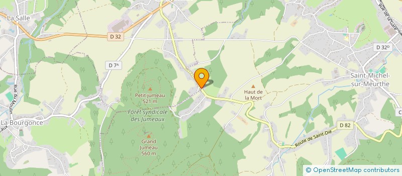 localisation de l'entreprise MONSIEUR ROBIN LEVREY  SAINT-MICHEL-SUR-MEURTHE