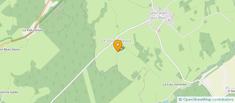 localisation de l'entreprise MONSIEUR ROBIN MOHLER  SAINT-JEAN-AUX-BOIS