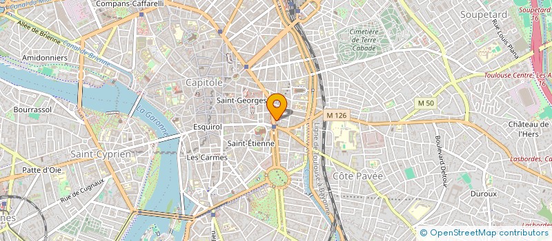 localisation de l'entreprise MONSIEUR ROBIN NAHORNYJ à TOULOUSE