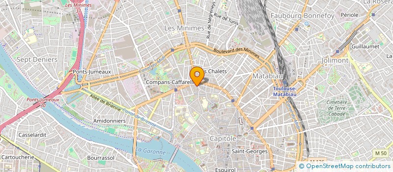localisation de l'entreprise MONSIEUR ROBIN PANCOT à TOULOUSE