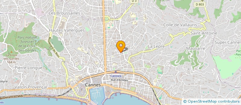 localisation de l'entreprise MONSIEUR ROBIN PELLISSIER à LE CANNET