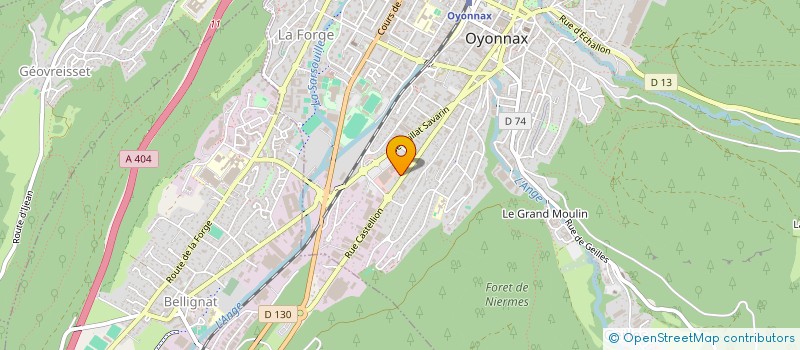 localisation de l'entreprise MONSIEUR ROBIN PRUNIAUX à OYONNAX