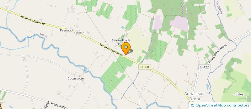 localisation de l'entreprise MONSIEUR ROBIN ROMAN  DURAS