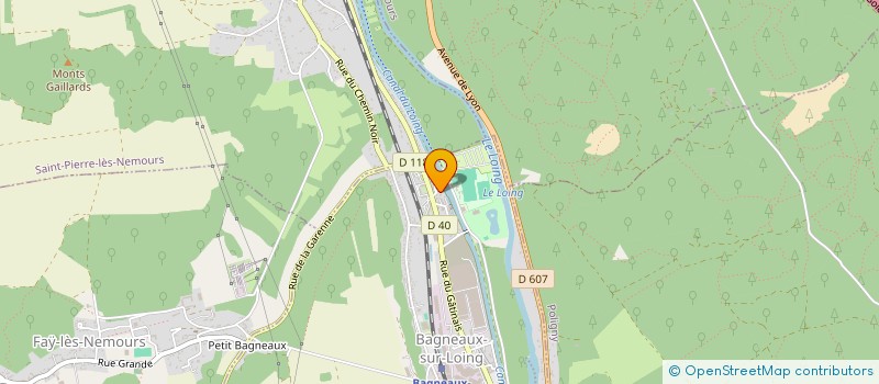 localisation de l'entreprise MONSIEUR ROBIN ROQUE  BAGNEAUX-SUR-LOING