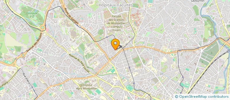 localisation de l'entreprise MONSIEUR ROBIN SALES à MONTPELLIER