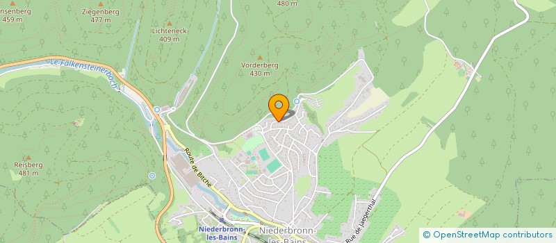 localisation de l'entreprise MONSIEUR ROBIN SCHAFFHAUSER  NIEDERBRONN-LES-BAINS