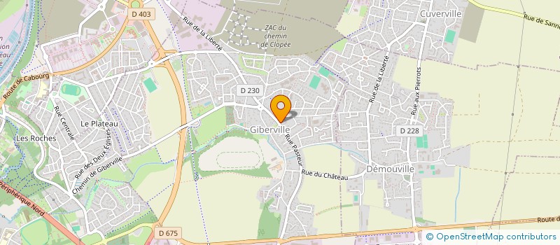 localisation de l'entreprise MONSIEUR ROCCO LAFLEUR  GIBERVILLE